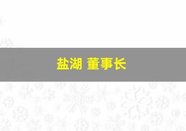 盐湖 董事长